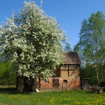 wiosna2